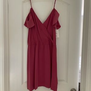 Joie 100% sold “washed raspberry” dress
